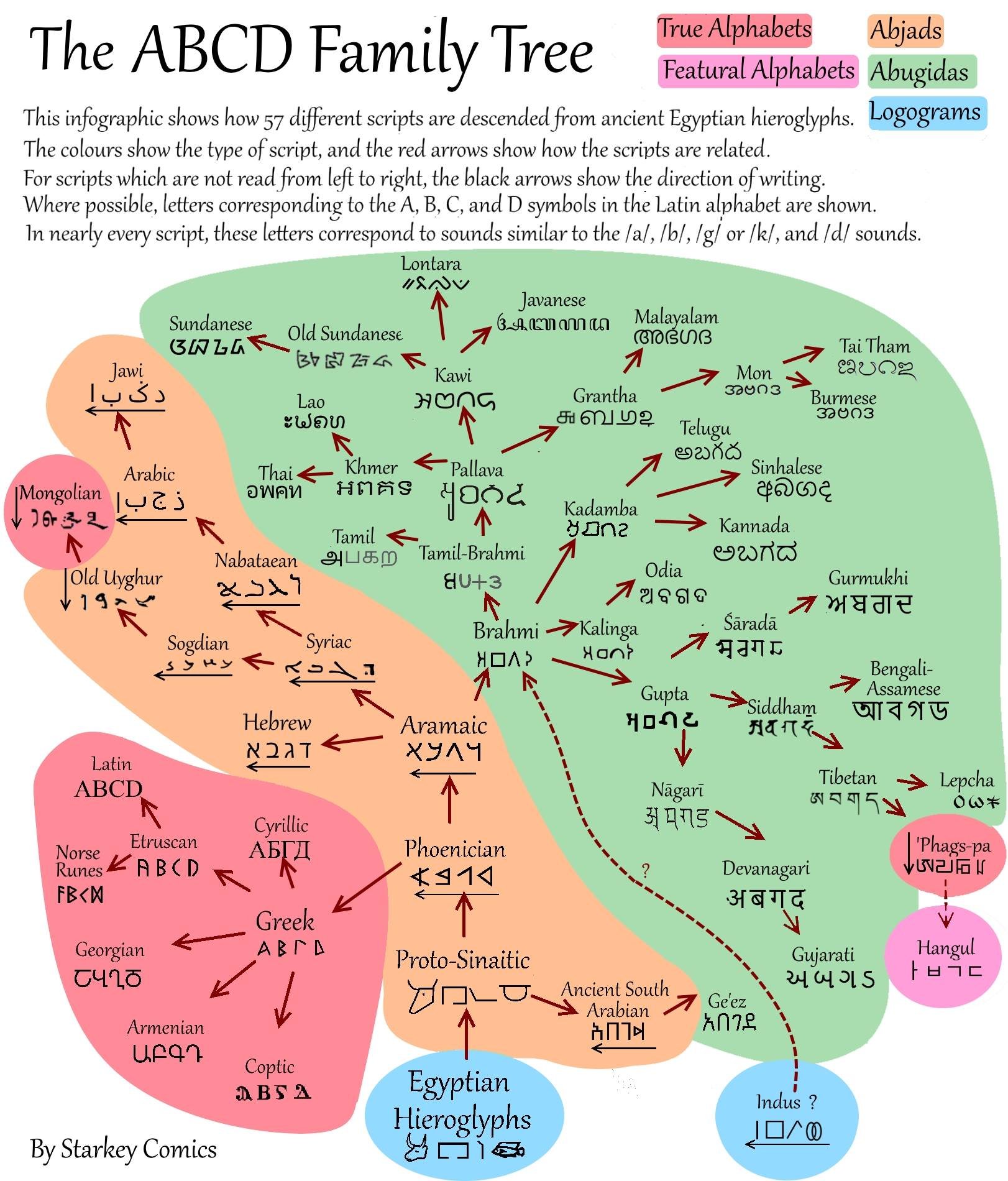 ../figs/docs_ABCD_family_tree.jpeg